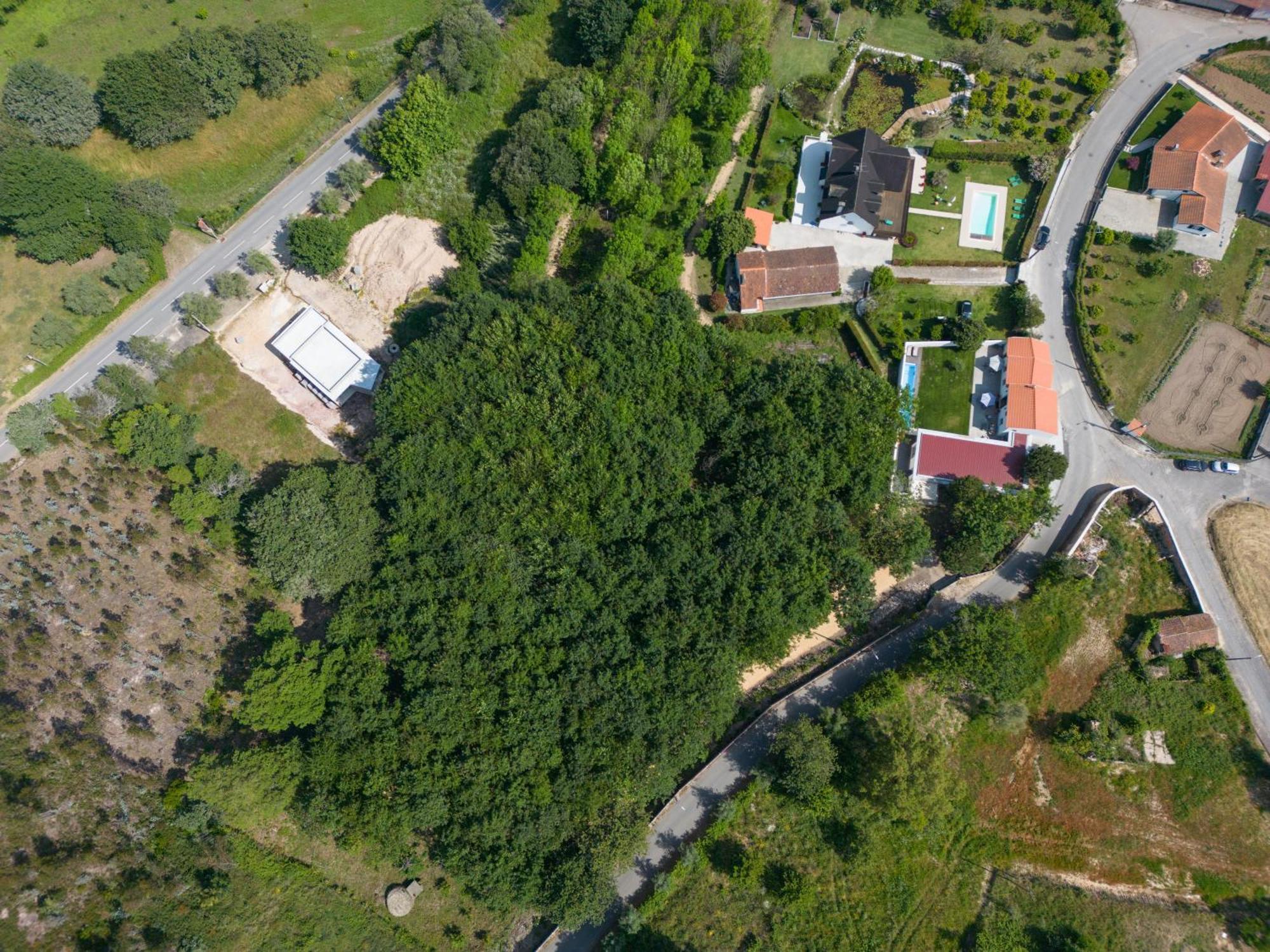Villa Casa Do Carvalhal - Quinta Do Soldado Alquerubim Exterior foto